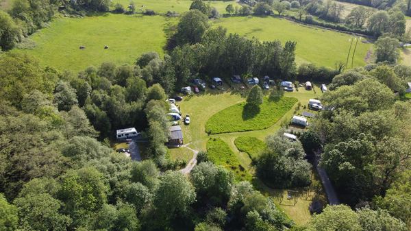 Teifi Meadows