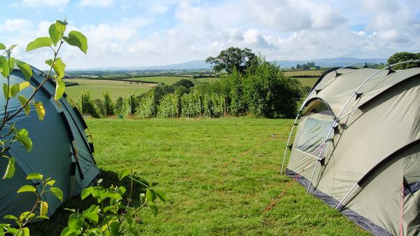 Ten Acres Vineyard Camping