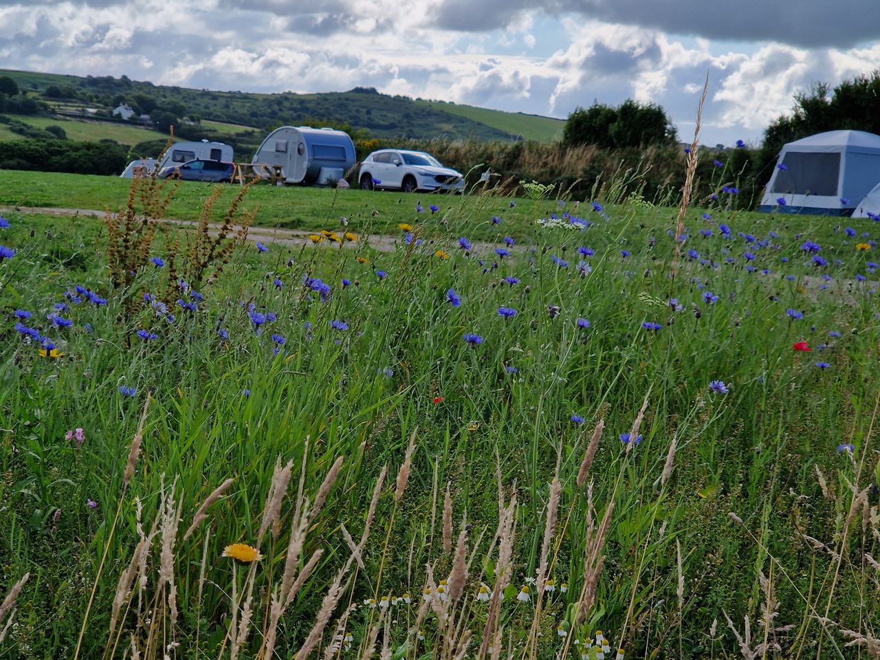 The Camping Field