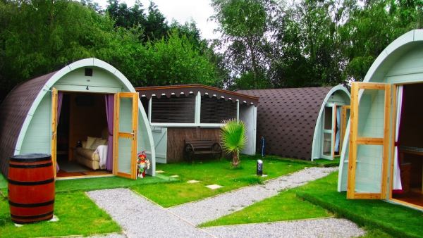 The Forest Pod