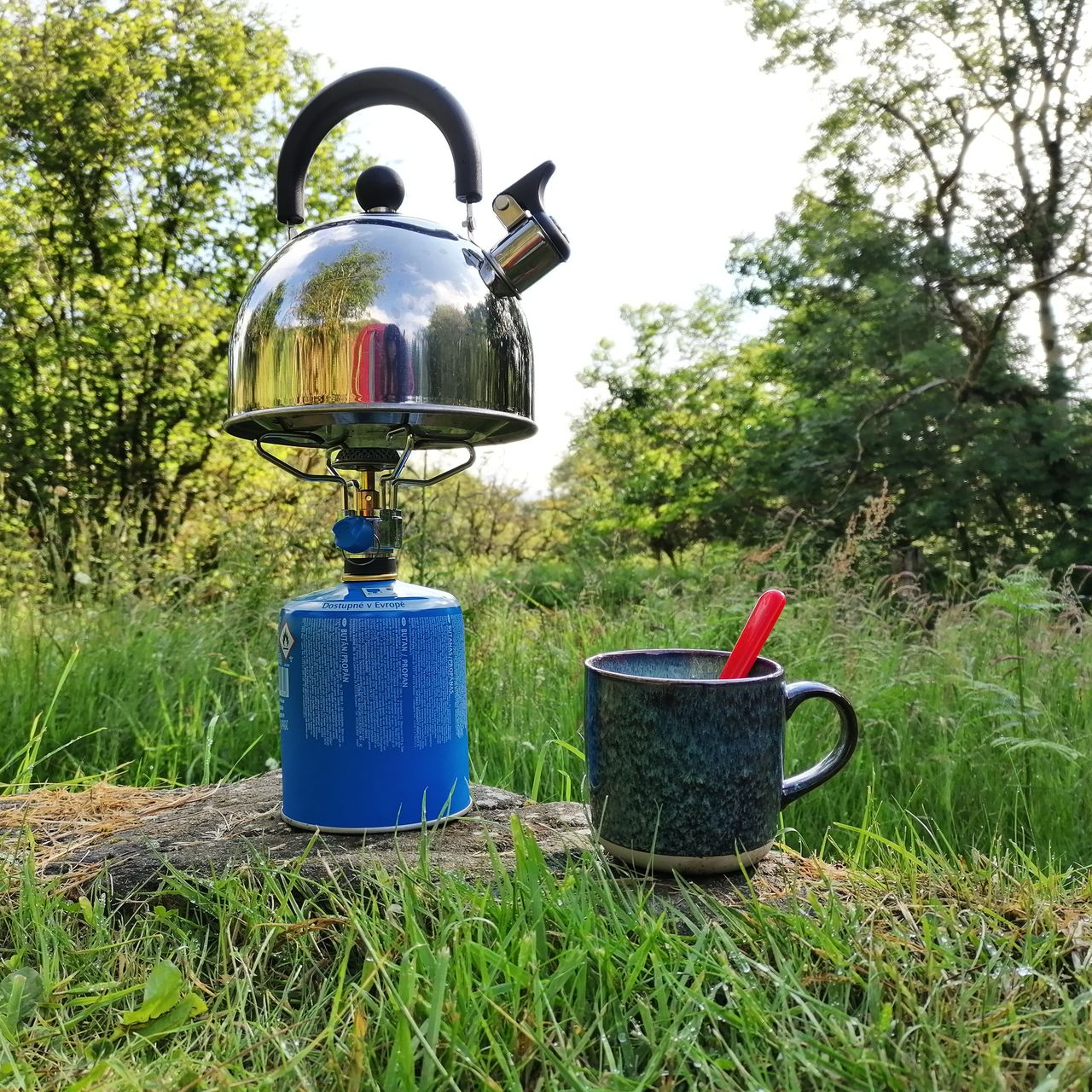 The Gorfanc Hideaway