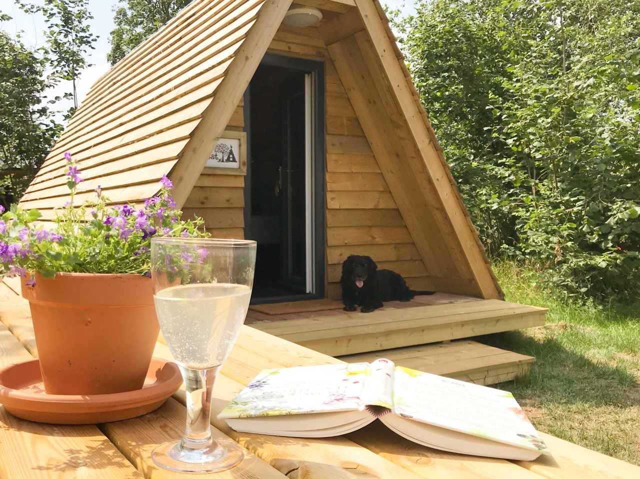 The Hen's Dens at Orchard Organic Farm