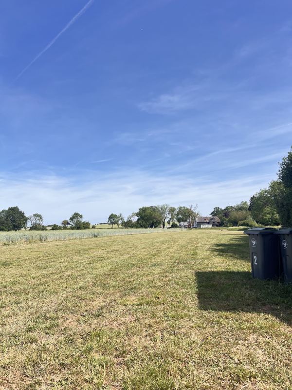 The Meadow at Waples Mill
