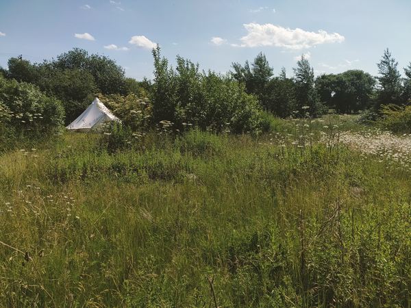 The Mushroom Farm and Campsite