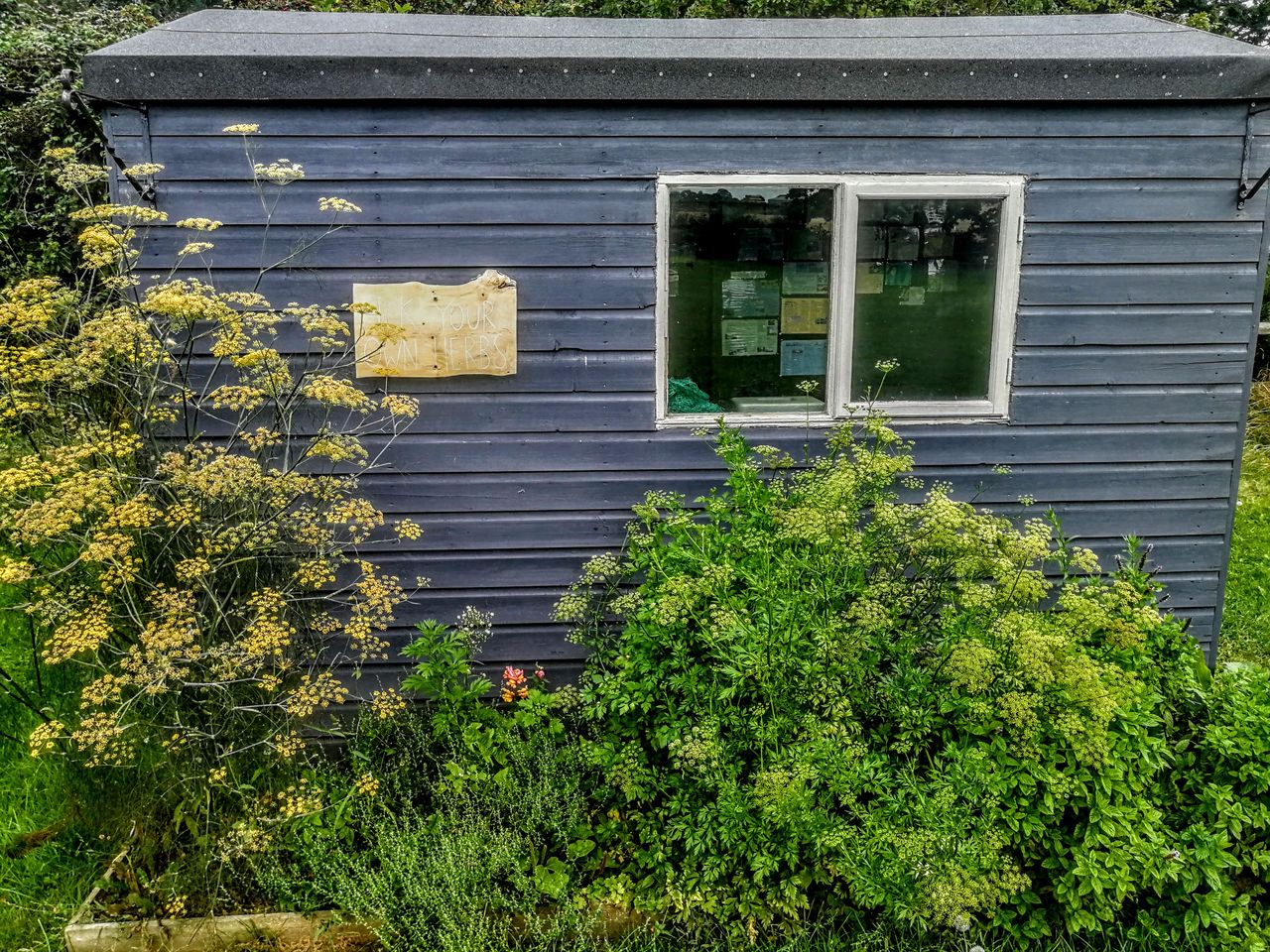 The Old Vicarage Campsite