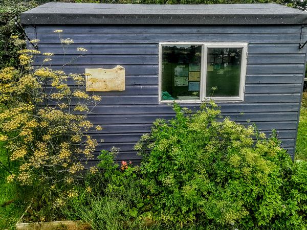 The Old Vicarage Campsite