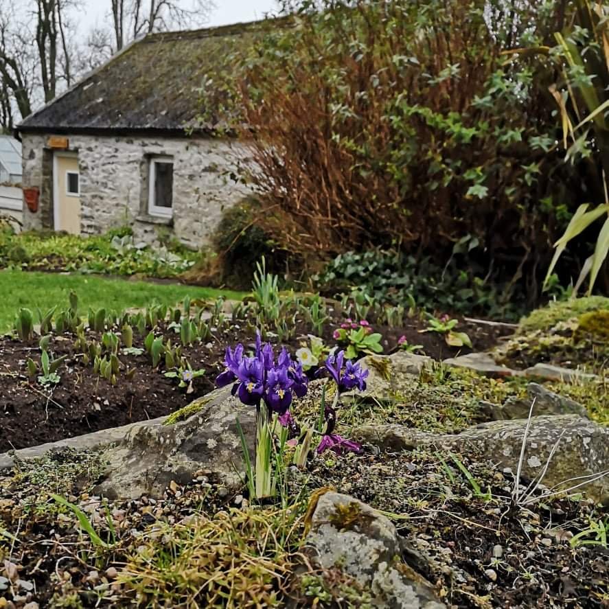 The Old Vicarage Holiday Park