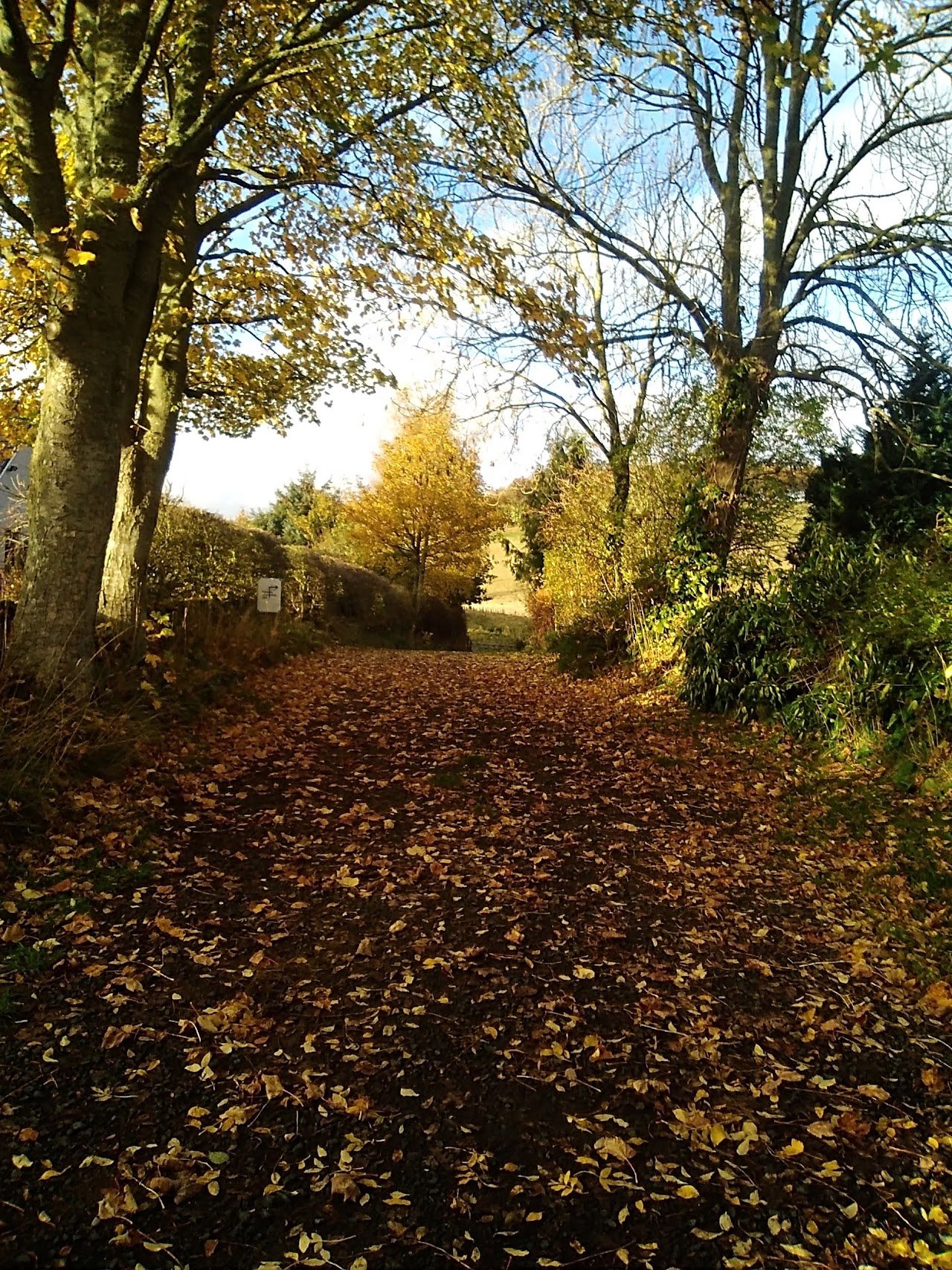 The Onstead Certificated Site
