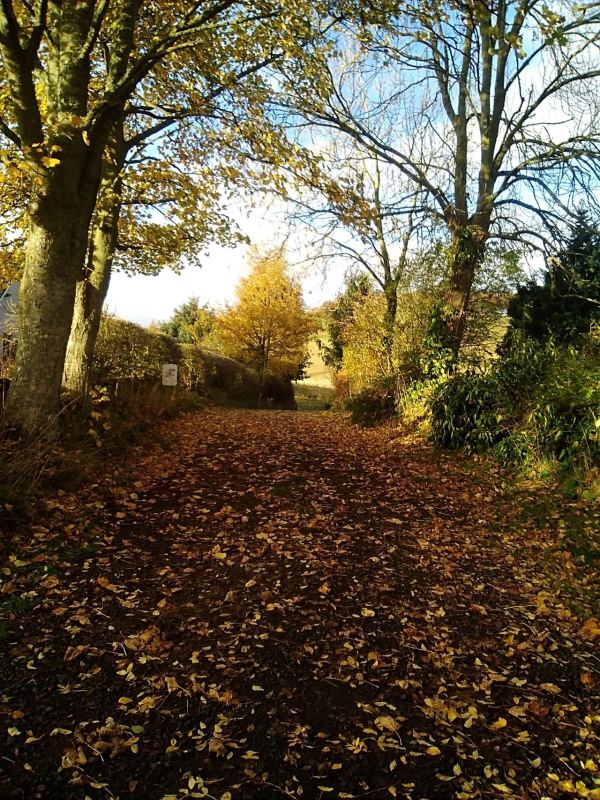 The Onstead Certificated Site