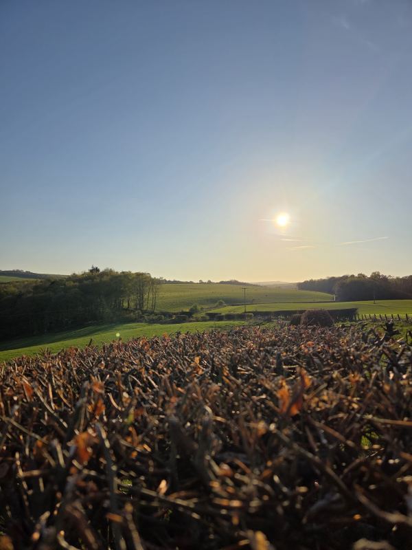 The Onstead Certificated Site