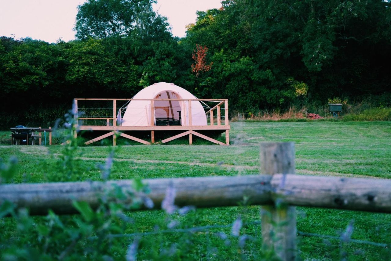 The Paddocks Glamping