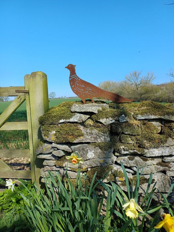 The Pheasantry B&B & Campsite (Certificated Site)