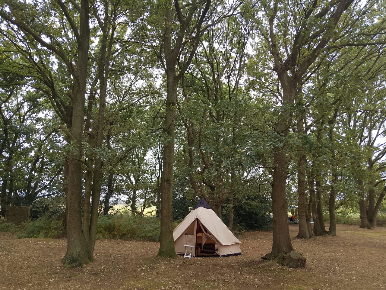 The Spinney Wild Camping