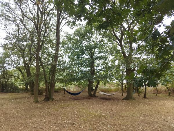 The Spinney Wild Camping