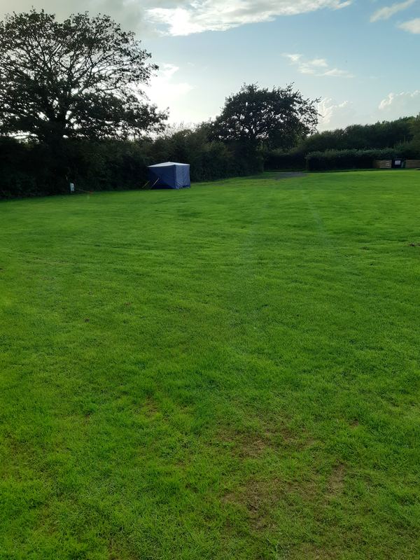 The Three Oaks