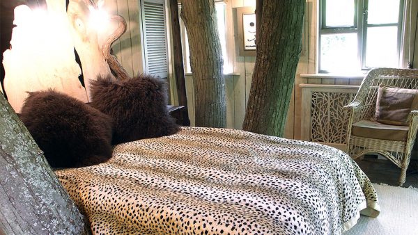 The Tree House at Castle Cottage