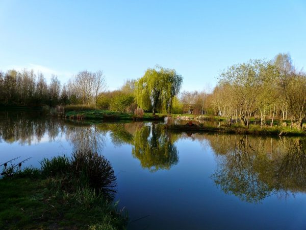 Thorney Lakes Caravan and Camping Park