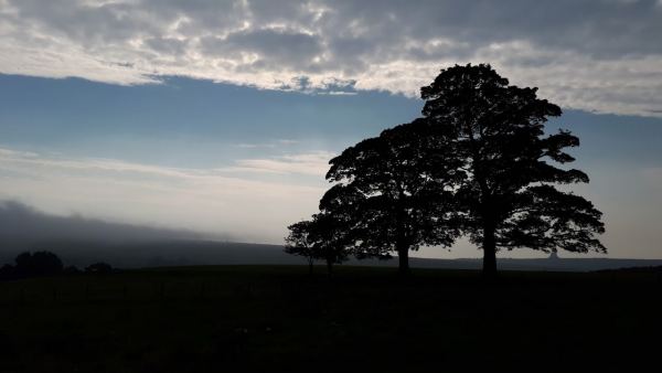 Thornhill Farm Certificated Site