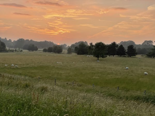 Thoulstone Park