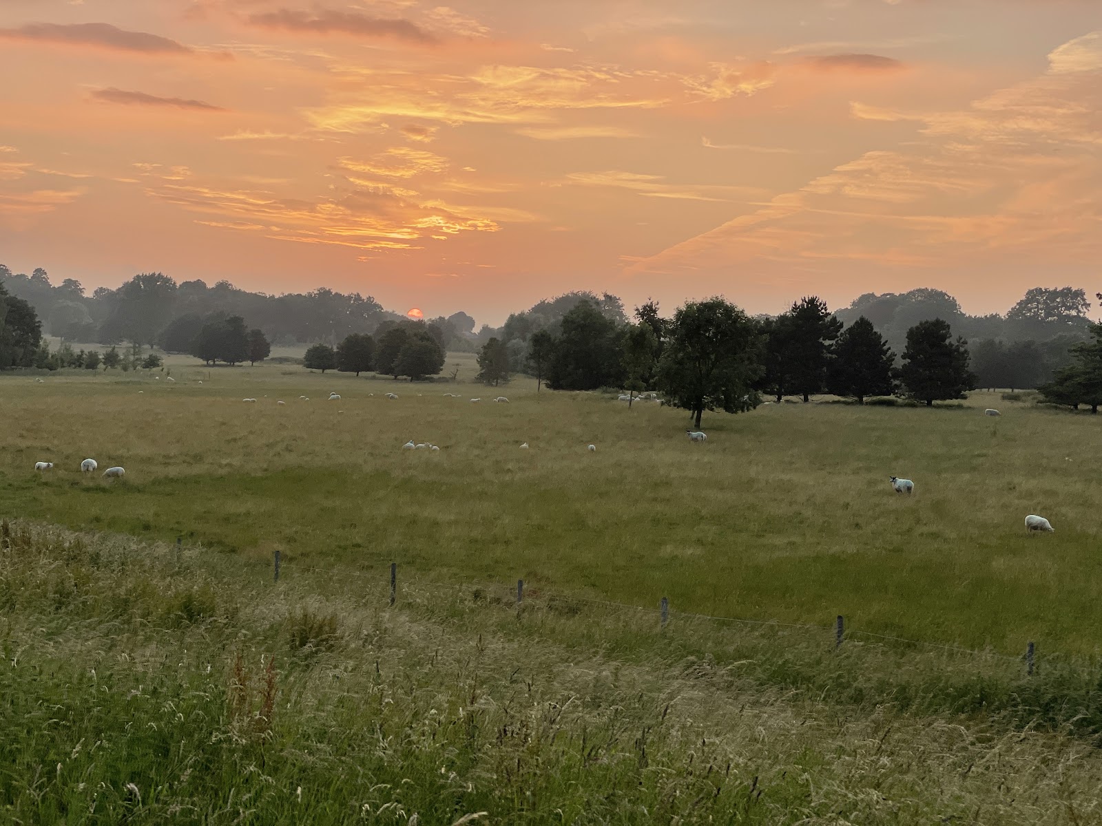 Thoulstone Park
