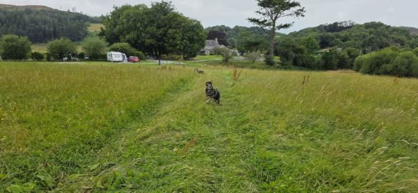 Three Croft Farm