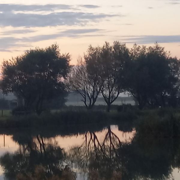 Thursland Hill Farm Fishery CL