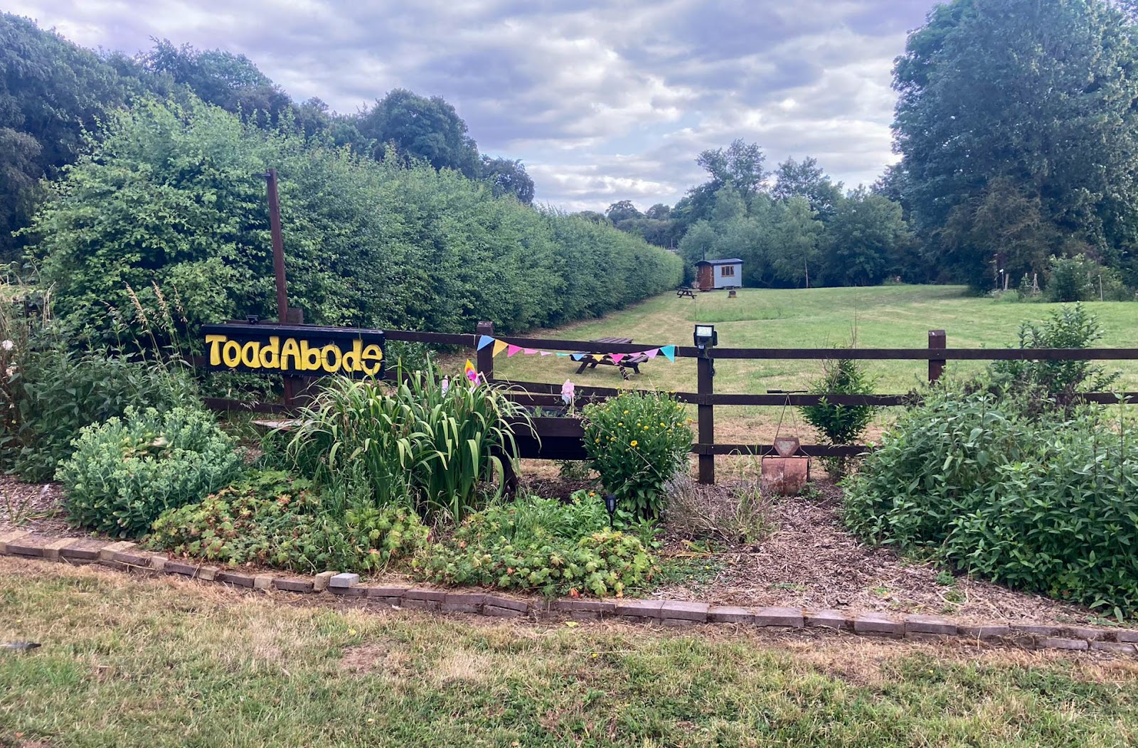 Toad Abode