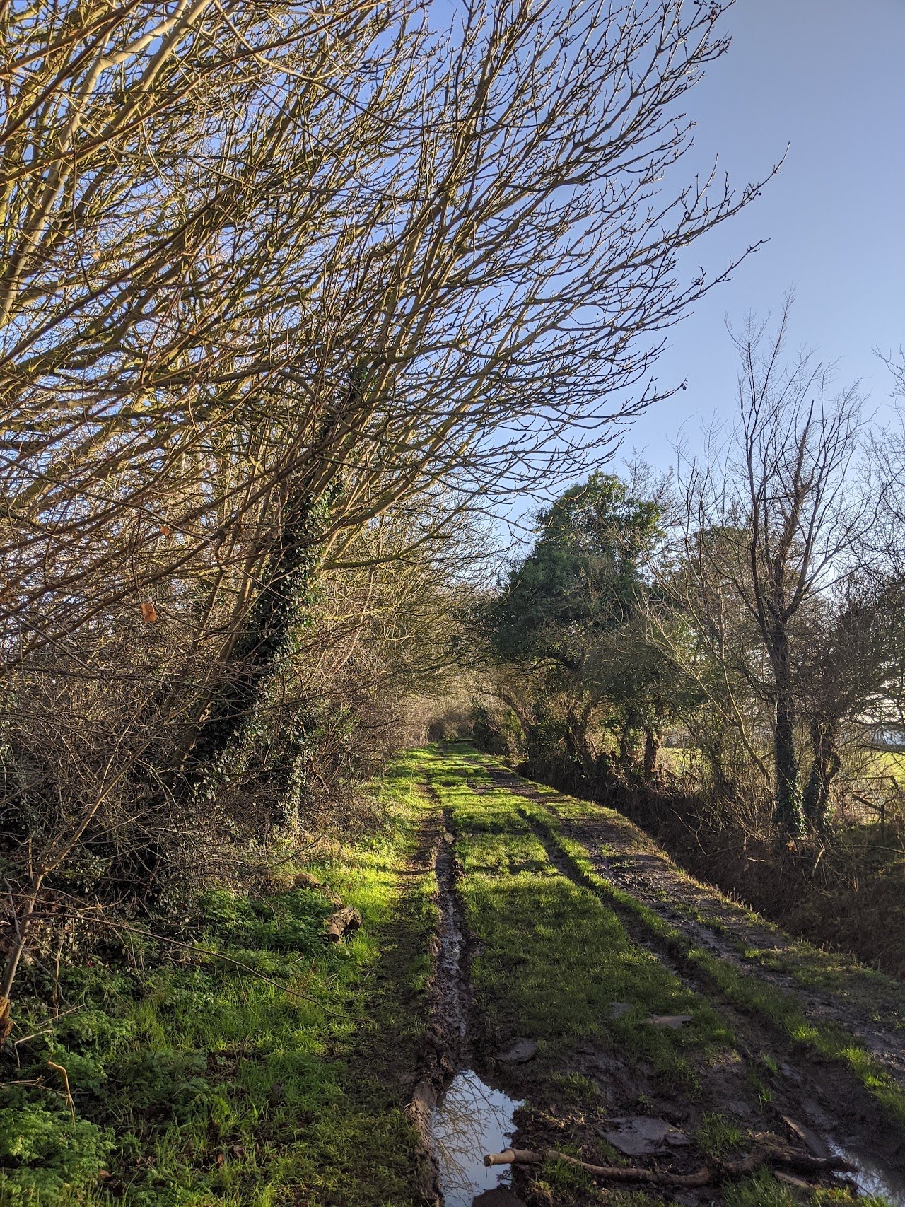 Toad's Acre Park Home Estate