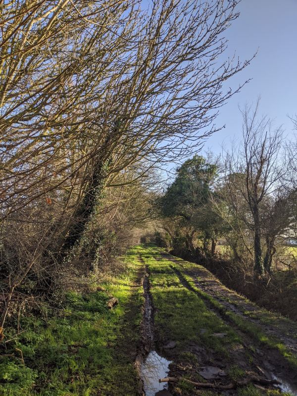 Toad's Acre Park Home Estate