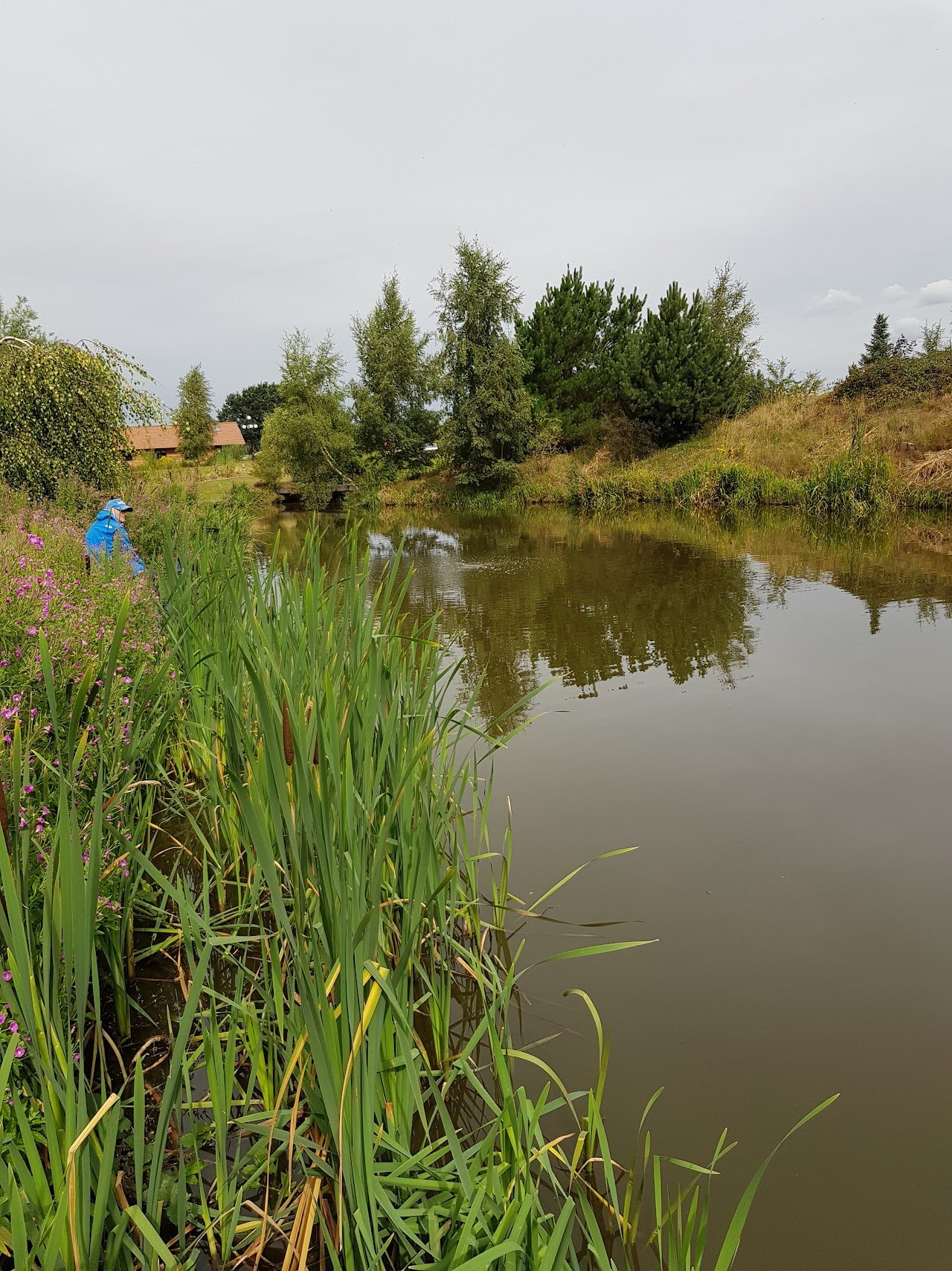 Torne Bank Fishery (Certificated Site)