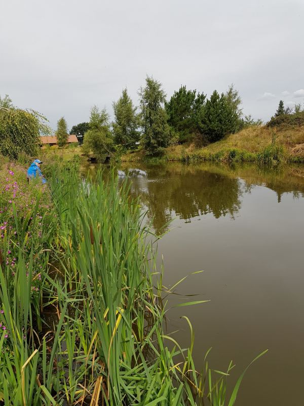 Torne Bank Fishery (Certificated Site)