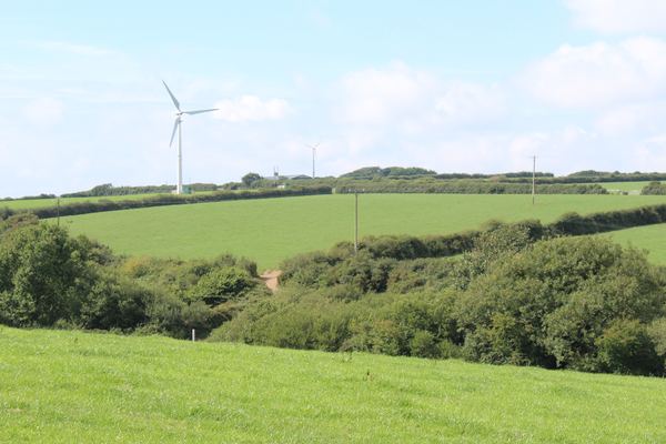 Tower Hill Campsite