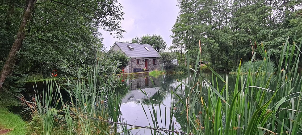 Trapp Fishery Caravan and Camping