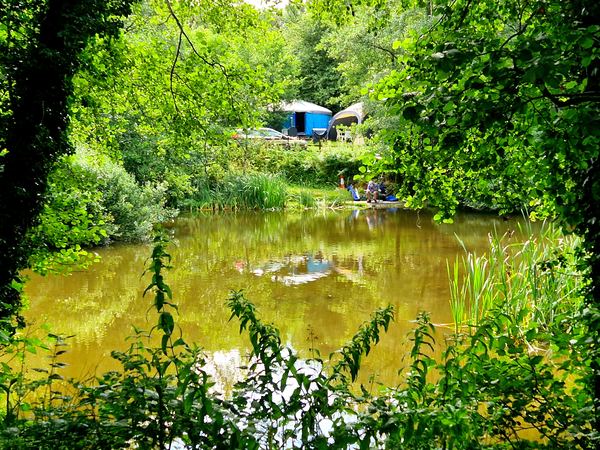 Trapp Fishery Caravan and Camping