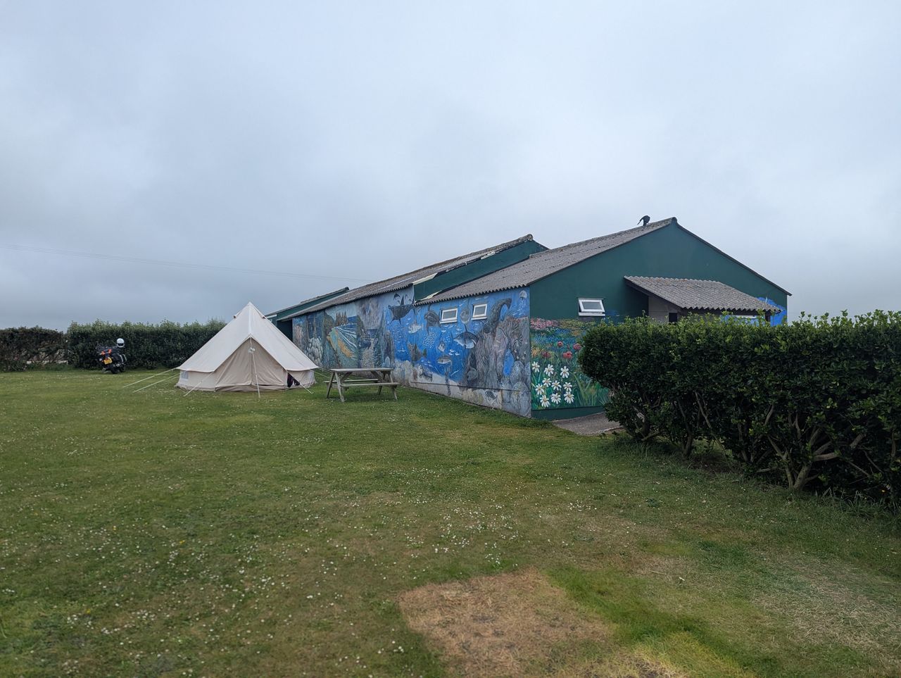 Treen Farm Campsite