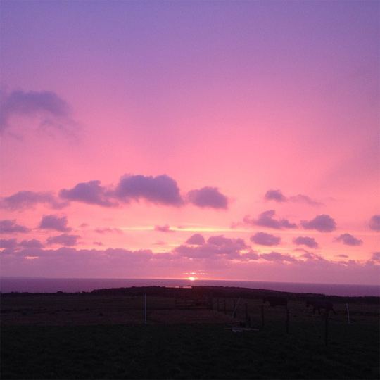 Treen Farm Campsite