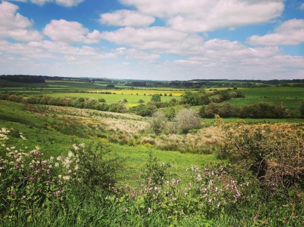 Treetops Farm Holidays