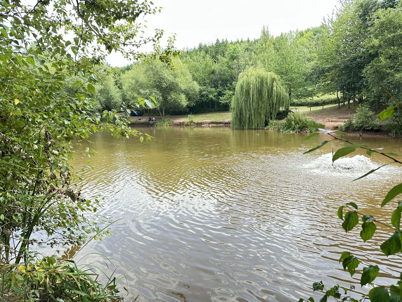 Trefaldu Fishery Camping and Caravan Park