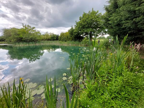 Trench Farm Fisheries and Touring Park