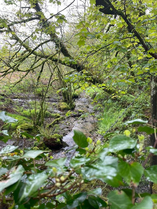 Trenoeth Farm Certificated Site