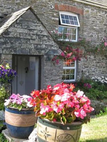 Trewiston Farm