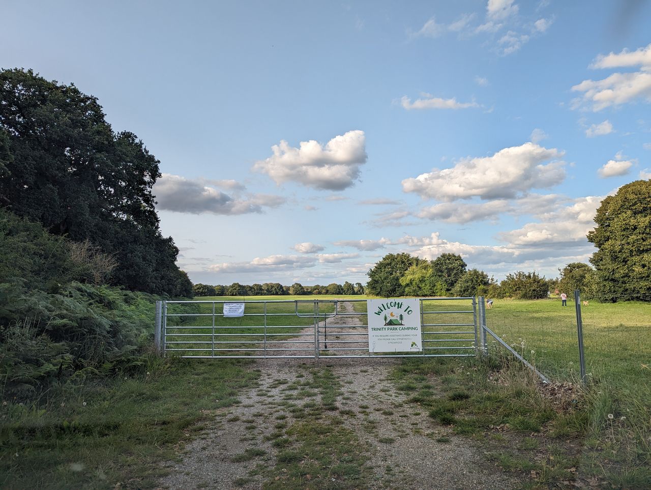 Trinity Park Camping
