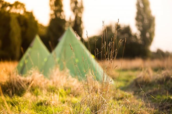 Twitey's Tipis and Campsite