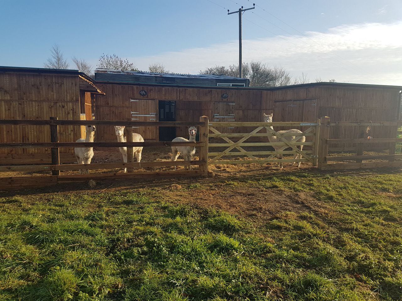 Two Jays Farm