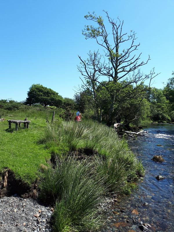 Tyddyn Cethin Caravan Park