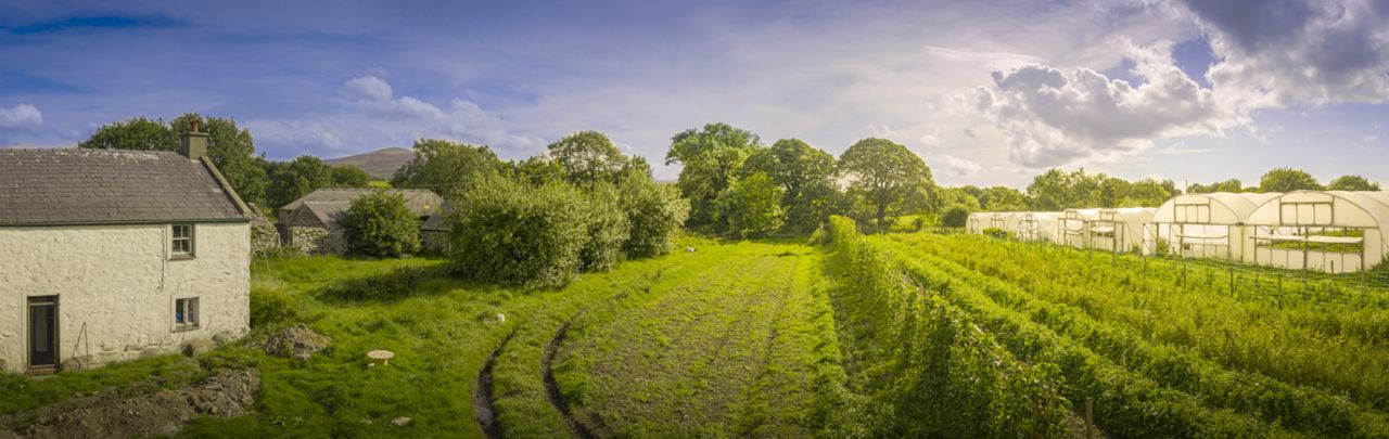 Tyddyn Teg Campsite