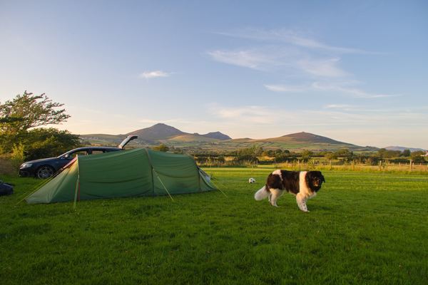 Tyn on the Llyn Campsite