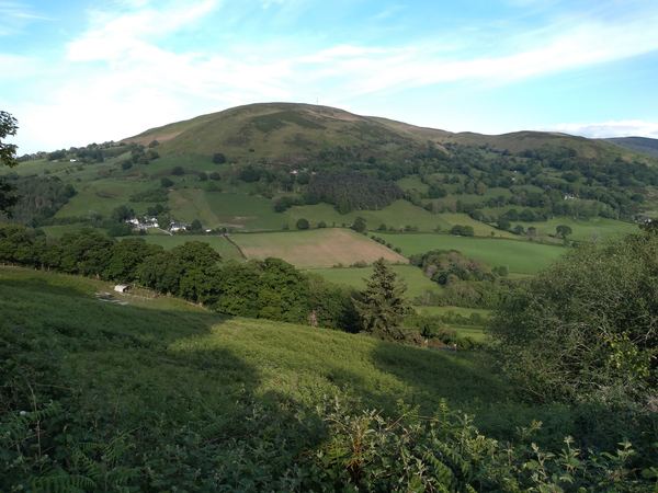 Tyn Yr Eithin Farm