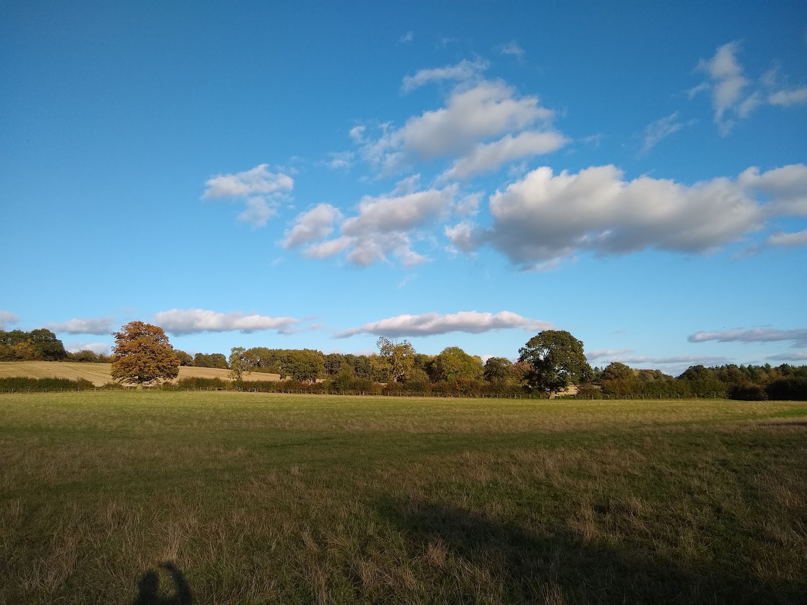 Umberslade Estate