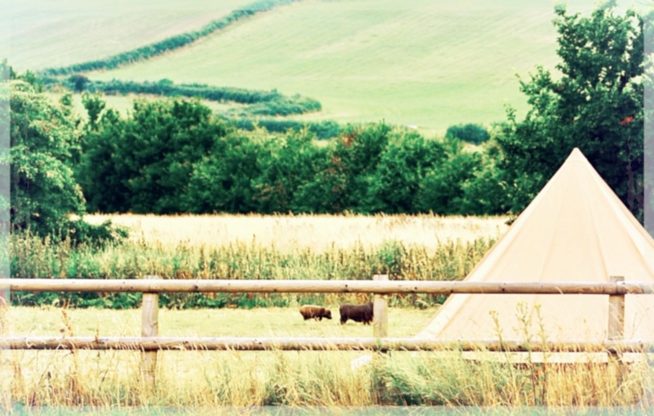 Valley Farm Campsite